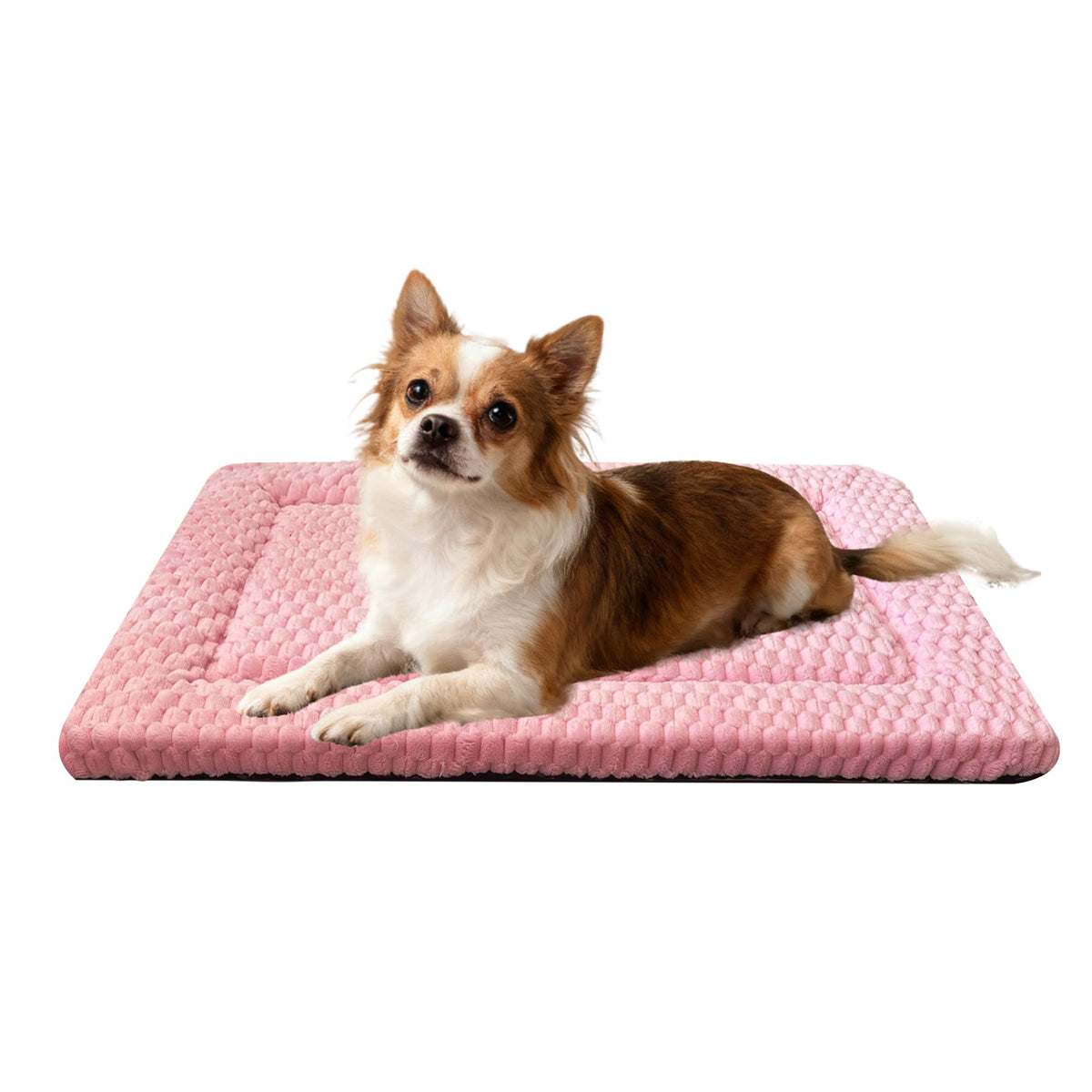 Dog Bed Mat – Soft & Comfortable Dog Kennel Pad for Crate – Durable Crate Bed & Mat for Dogs & Cats – Ideal for Crate, Kennel, and Home Use