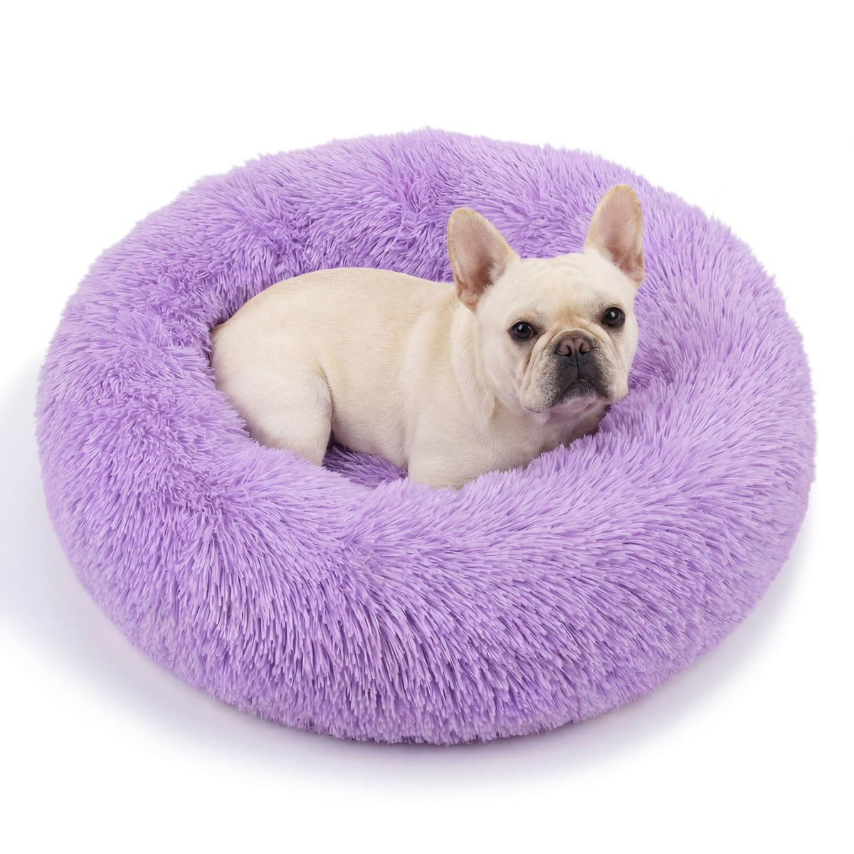 Small Calming Dogs Bed for Small Dogs Anti-Anxiety Machine Washable Fluffy Luxury Anti-Slip Waterproof Mute Base Warming Cozy Soft Pet Puppy Round Bed