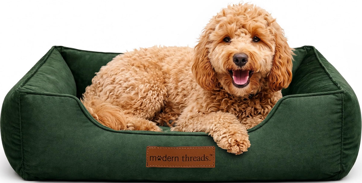 Modern Threads Luxury Dog Bed - Comfortable Tufted Velvet Cushion for Small to Large Dogs - Machine Washable - Durable & Cute Sleep Space for Pets - Pamper Your Pet with Cozy Beds - Rosewood