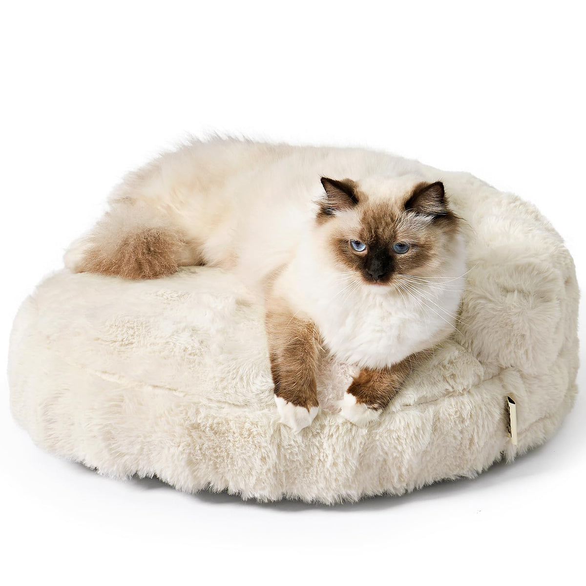 EHEYCIGA Dog Bed Medium Size Dog, Fluffy Small Dog Couch with Removable Washable Cover, Bolster Pet Sofa, Waterproof and Non-Slip, 30" x 30"x 8.5", Cream