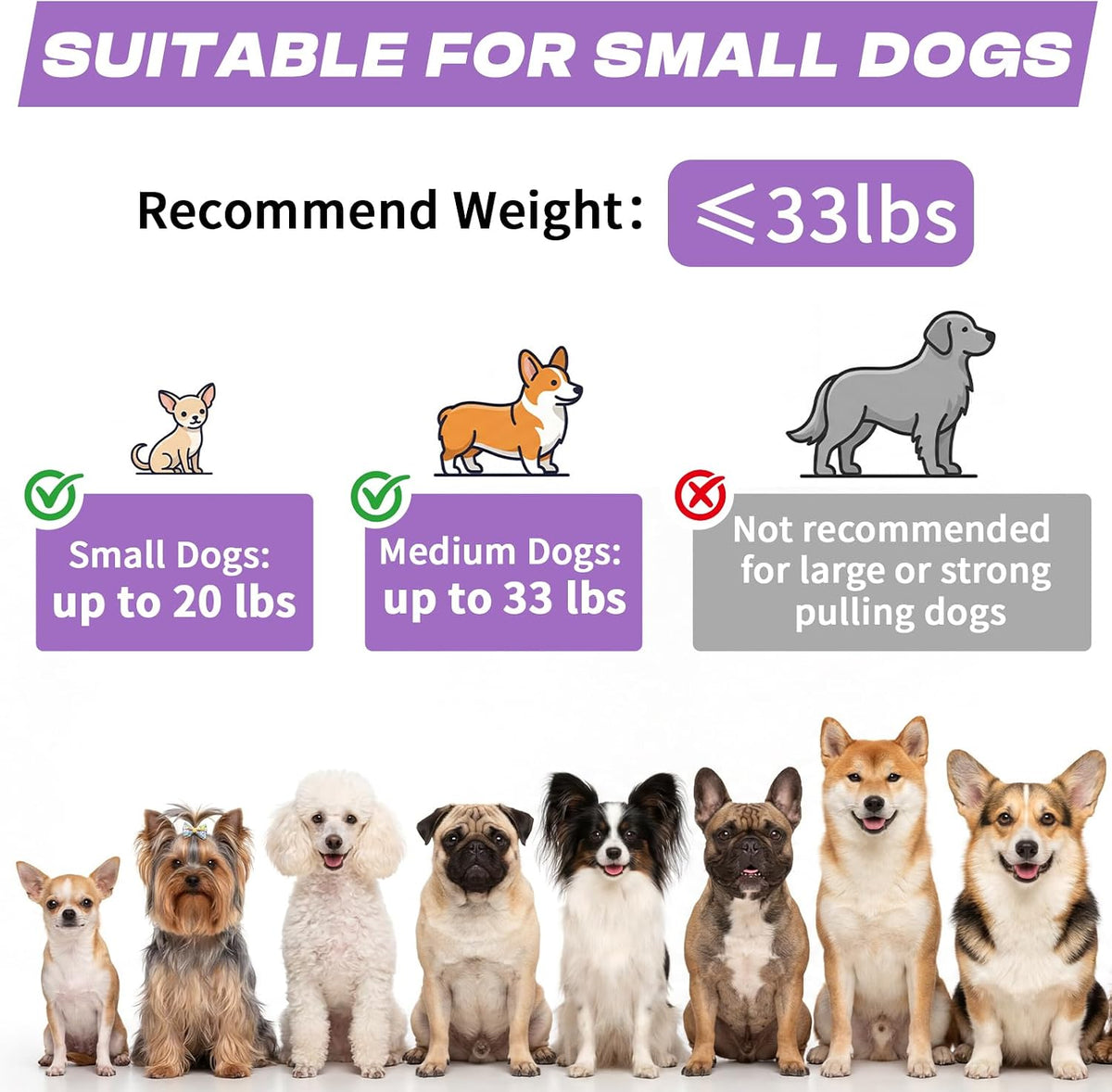 Retractable Dog Leash with USB Rechargeable Flashlight, Purple