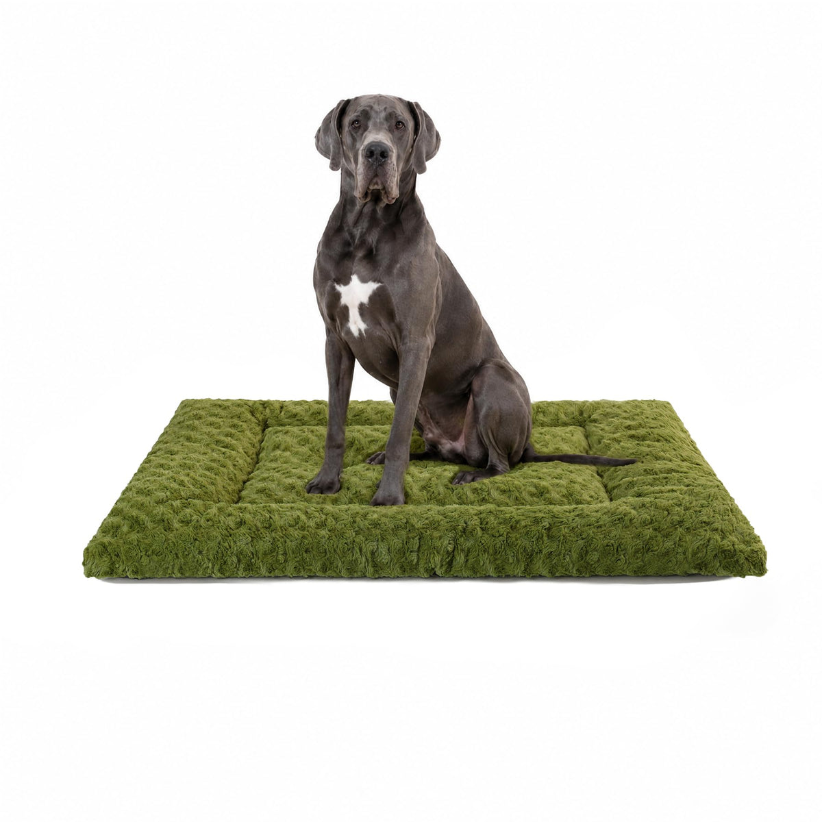 Exsnugy Washable Dog Bed Mat Medium Size Fluffy Pet Crate Pad 36x23