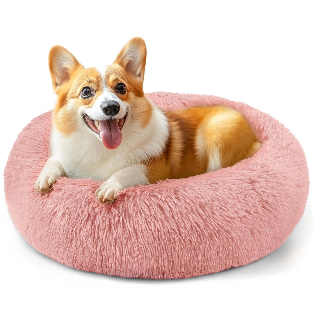 Hoewina Dog & Cat Bed for Indoor Cats, 20in Calming Donut Bed (Light Grey)