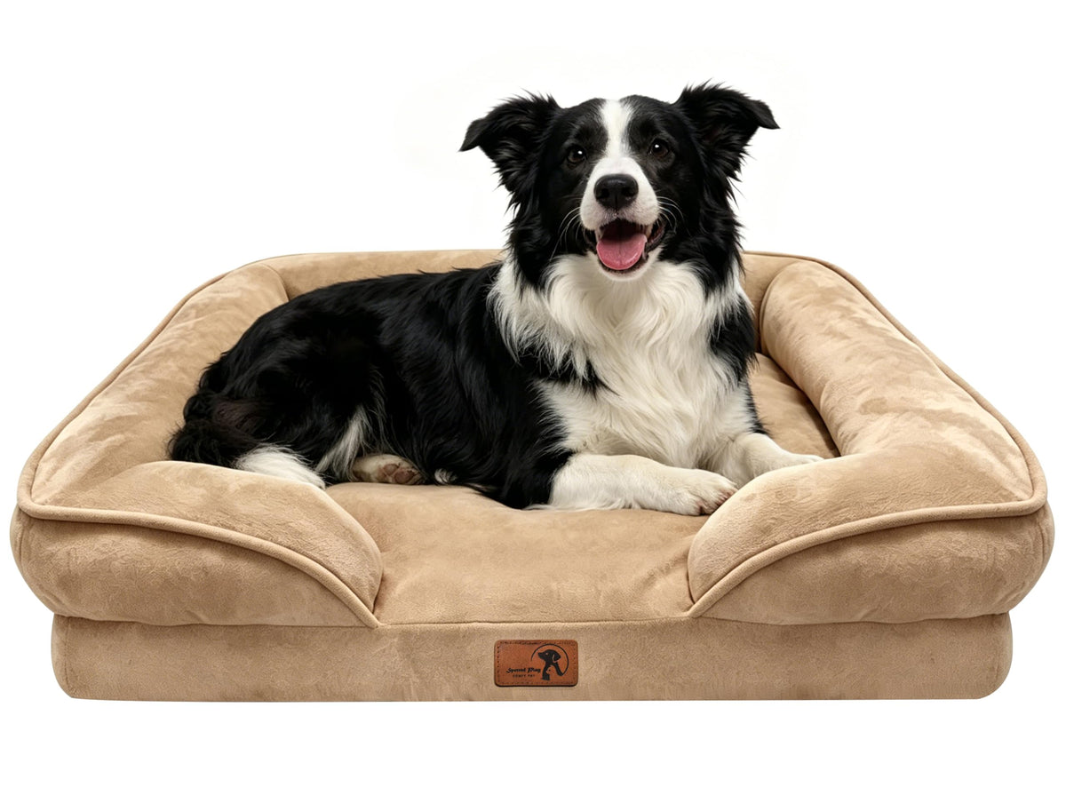 Spotted Play Orthopedic Dog Bed with Sides - Dog Sofa Beds for Medium Dogs, Supportive Foam Pet Couch Bed with Washable Removable Cover, Waterproof Lining and Non-Slip Bottom, Grey - M