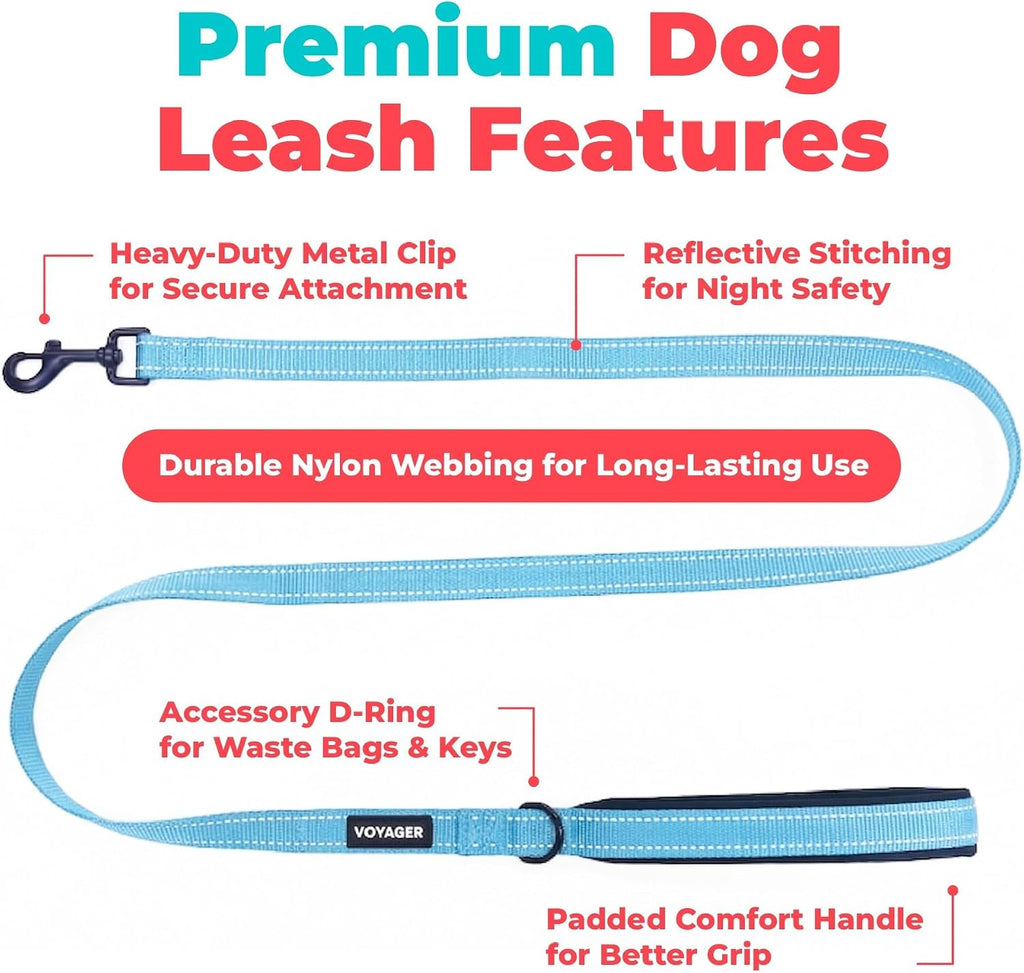 Best Pet Supplies Voyager Nylon Dog Leash - Baby Blue, Small