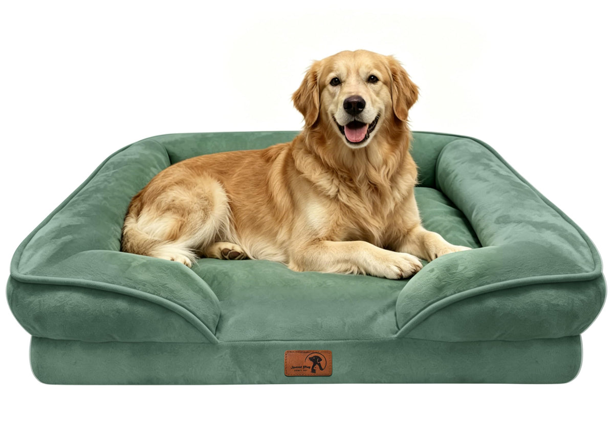 Spotted Play Orthopedic Dog Bed with Sides - Dog Sofa Beds for Medium Dogs, Supportive Foam Pet Couch Bed with Washable Removable Cover, Waterproof Lining and Non-Slip Bottom, Grey - M