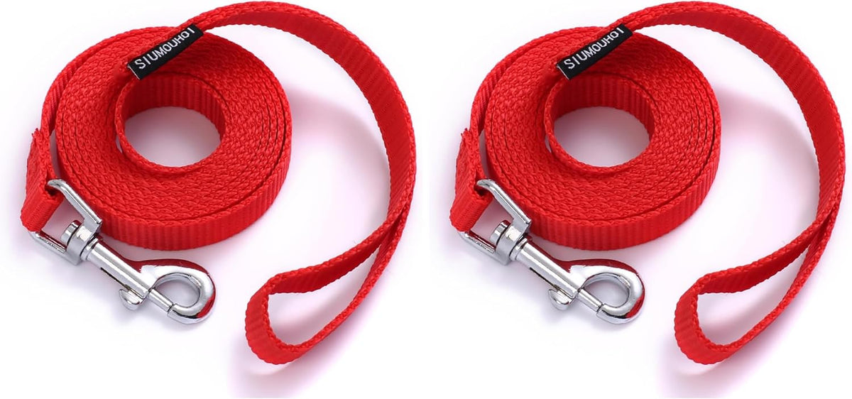 6 FT Puppy Leashes, Strong Traditional Style Leash with Easy to Use Collar Hook,Dog Lead Great for Small and Medium and Large Dog (Mint Blue, 5/8 in x 6 ft)