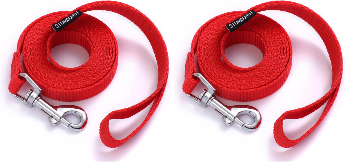 6 FT Puppy Leashes, Strong Traditional Style Leash with Easy to Use Collar Hook,Dog Lead Great for Small and Medium and Large Dog (Mint Blue, 5/8 in x 6 ft)