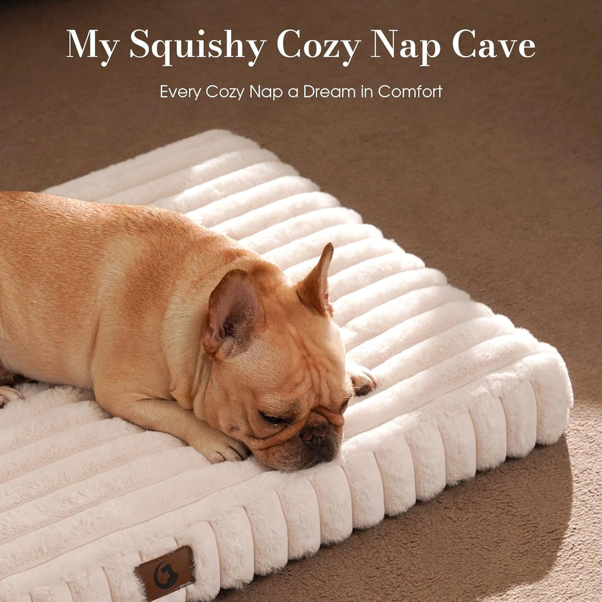 Dog Beds for Large Sized Dog, Orthopedic Foam with Waterproof Lining