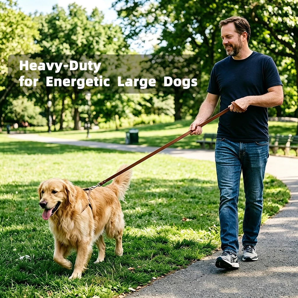 6ft Heavy Duty Leather Dog Leash,Pet Training Leash for Large, Medium Dogs
