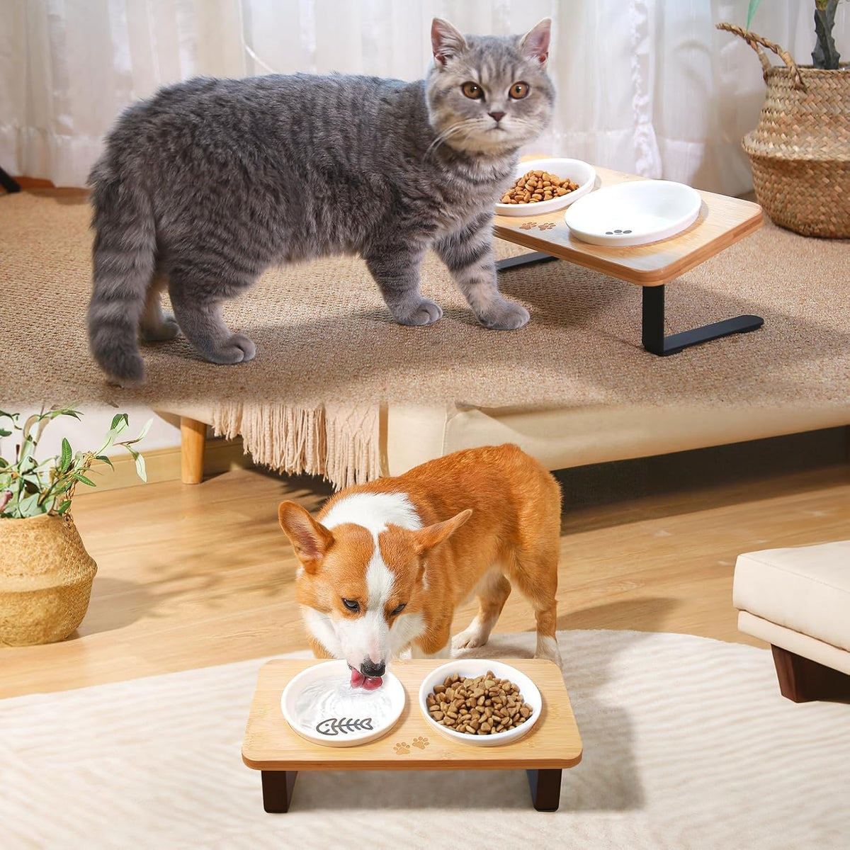 COMESOON 5" Ceramic Cat Bowl with Paws Pattern, Cat Food Bowl for Food and Water, Healthy Cat Dishes for Indoor Cats and Small Dogs, Dishwasher Safe & Microwaveable - White
