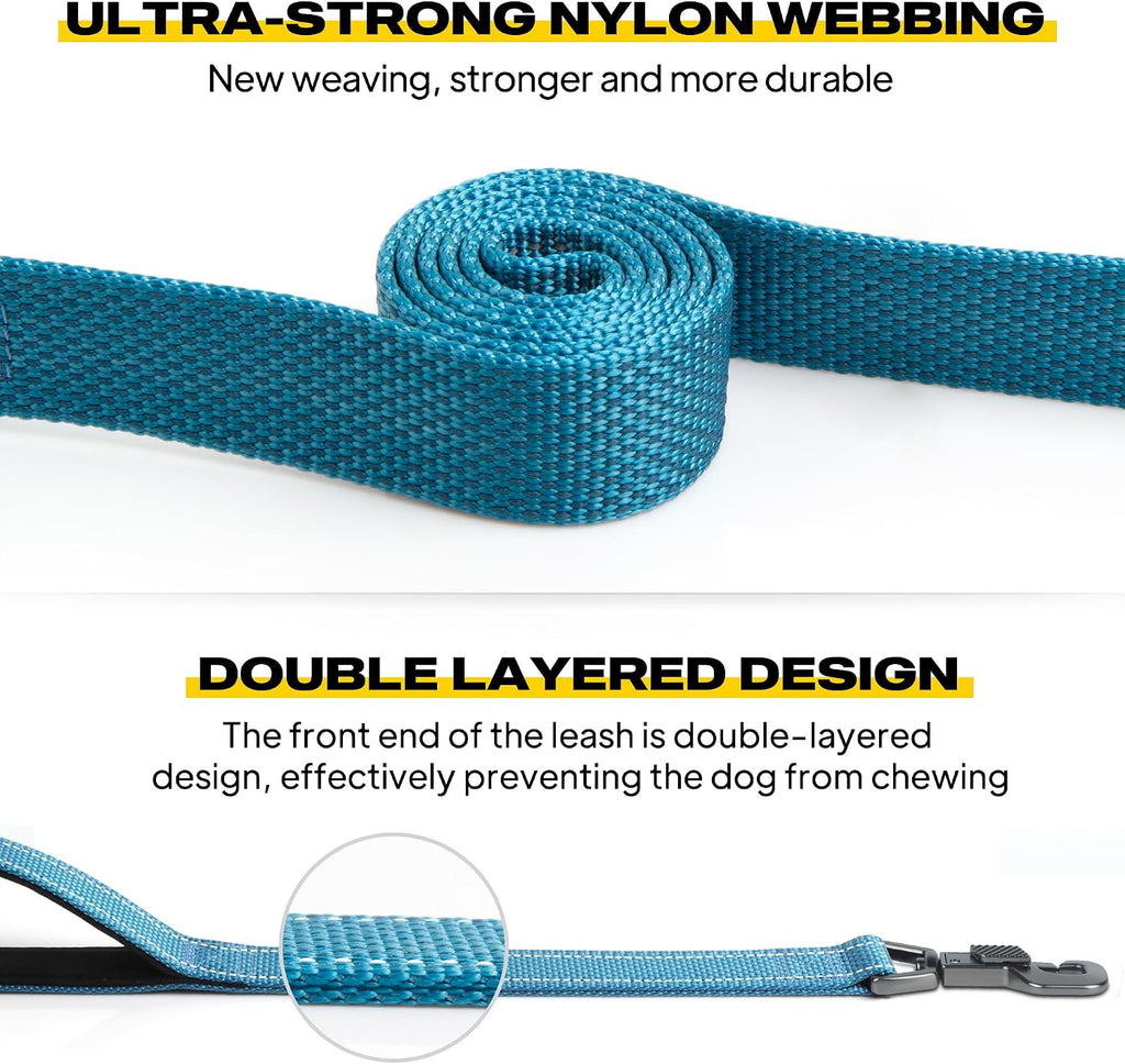 Fida Heavy Duty Dog Leash for Medium Large Dogs, 5 FT, Dual Padded Handles
