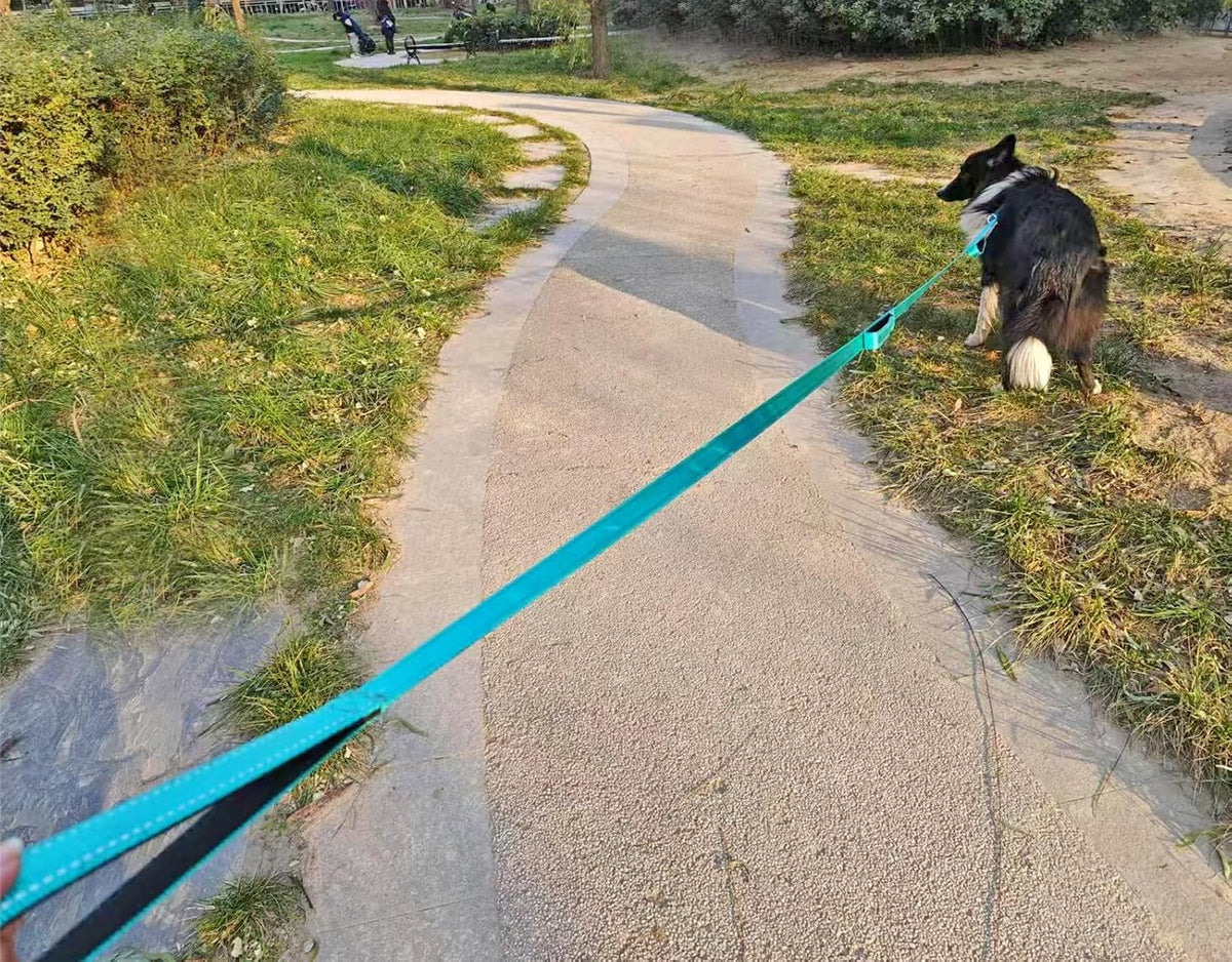 3 Handle Dog Leash 10FT Triple Handle Reflective Large Medium Dog