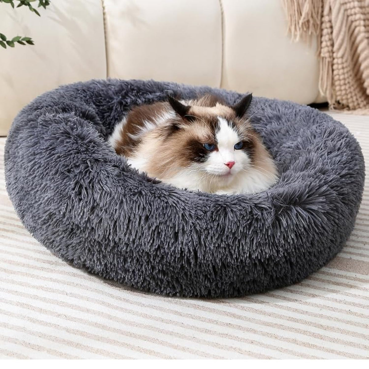 Donut Cat Bed, Calming Dog Beds for Small Dogs & Indoor Cats, Dark Dray