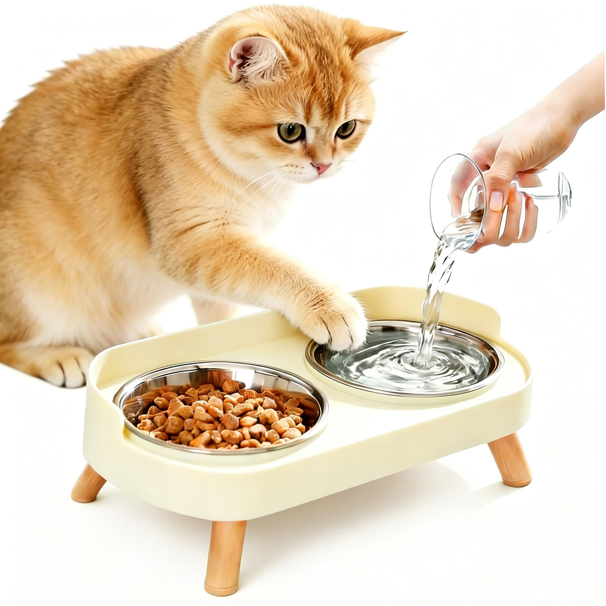 Elevated Cat Bowls with Food Mat, Splash Proof Anti Vomiting Raised Cat Food and Water Bowl Set, 2 Stainless Steel Dishes for Cats and Puppy, Pet Bowl for Indoor Cats White