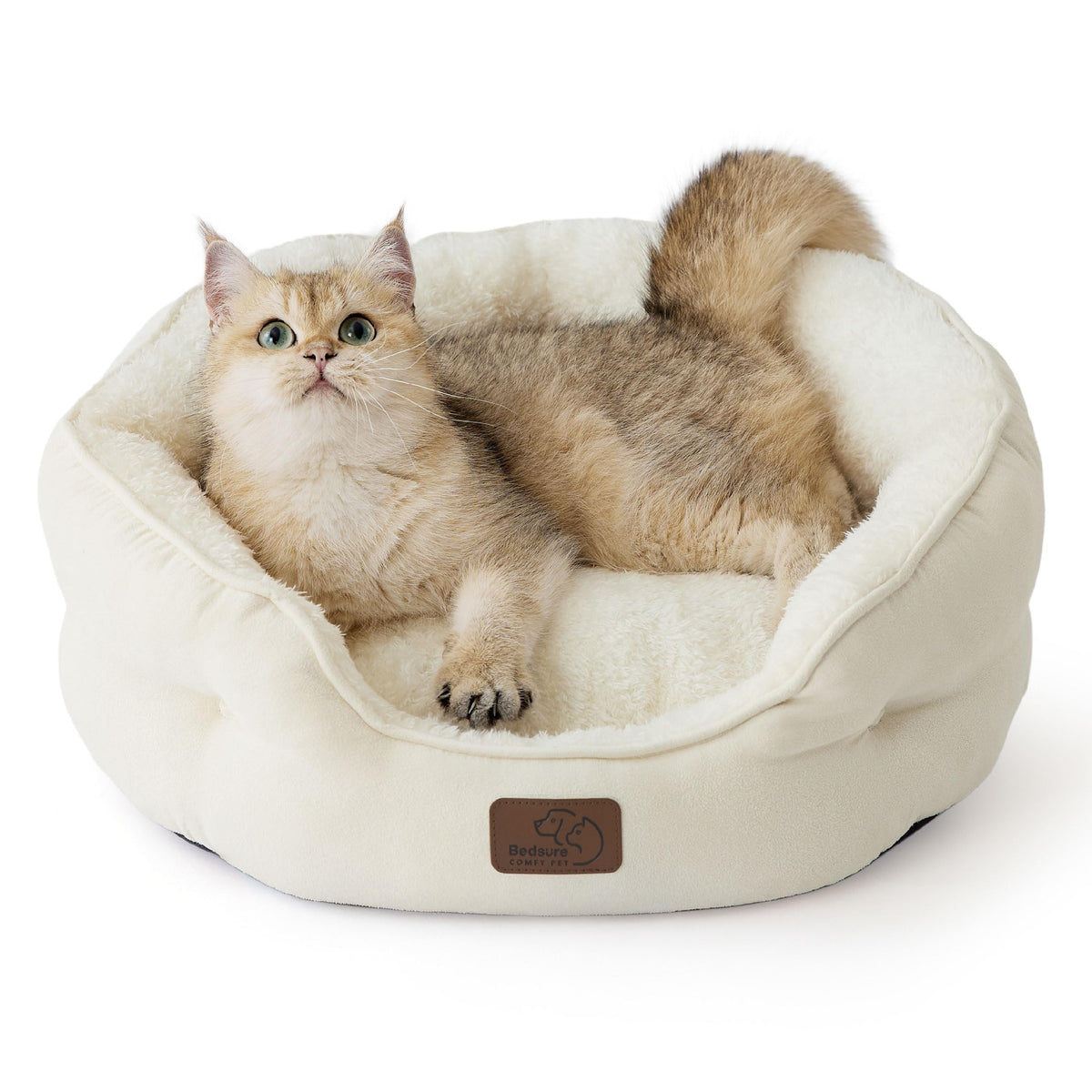 Bedsure Small Dog Bed Washable,Round Cat Beds for Indoor Cats,20in Ivory