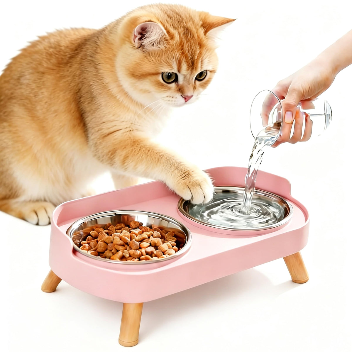 Elevated Cat Bowls with Food Mat, Splash Proof Anti Vomiting Raised Cat Food and Water Bowl Set, 2 Stainless Steel Dishes for Cats and Puppy, Pet Bowl for Indoor Cats White