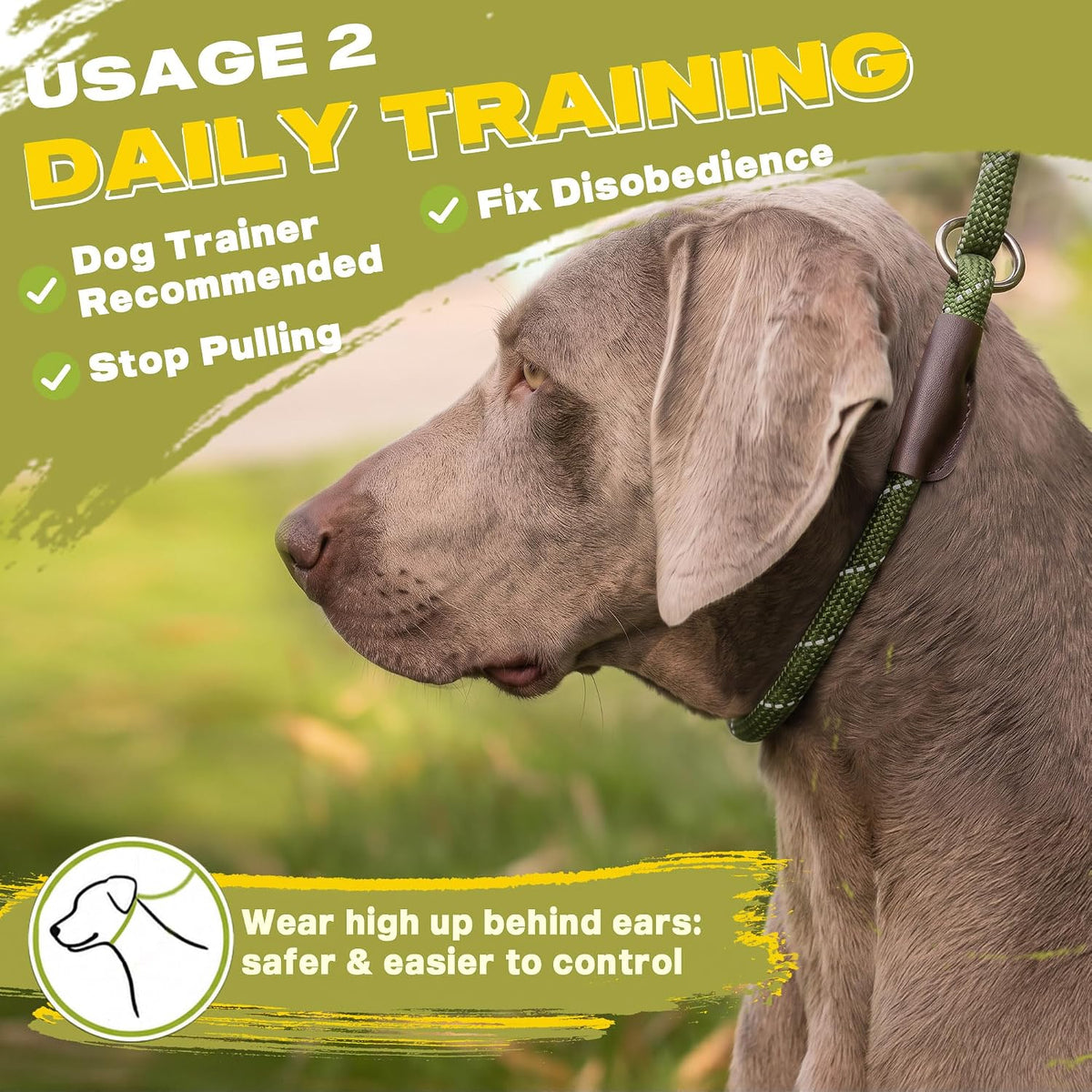 Fida Durable Slip Lead Dog Leash, 6 FT x 1/2" Dog Training Leash, Green