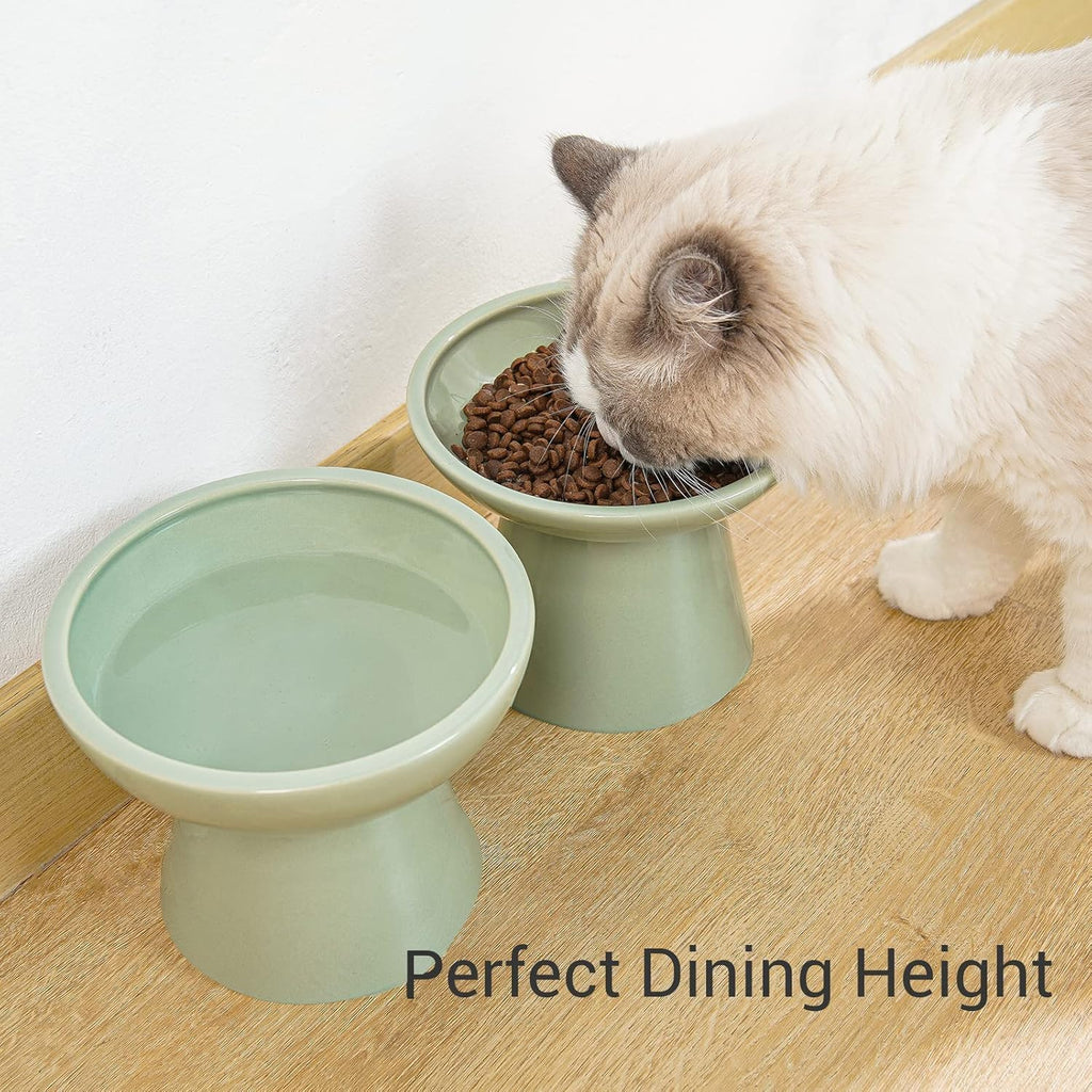 CEEFU 2-Pack Elevated Ceramic Cat Bowls Extra Wide for Food & Water