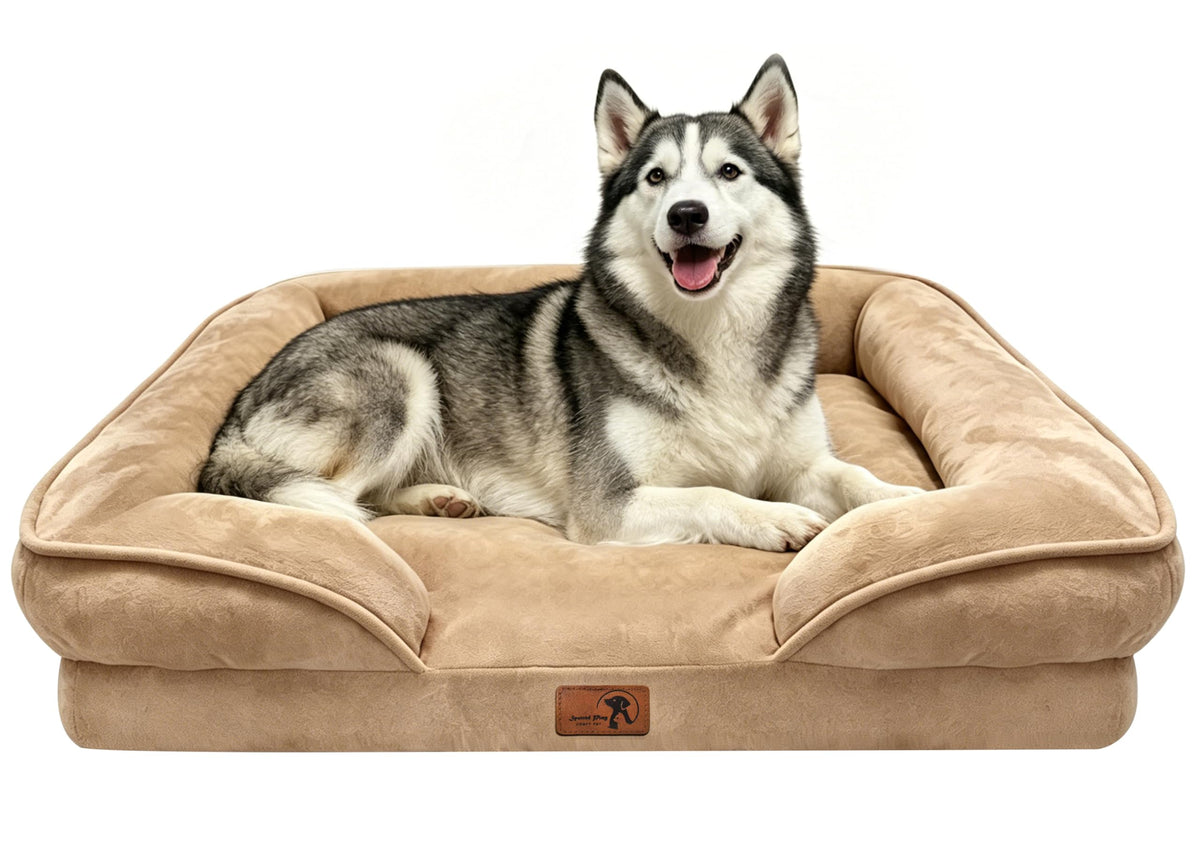 Spotted Play Orthopedic Dog Bed with Sides - Dog Sofa Beds for Medium Dogs, Supportive Foam Pet Couch Bed with Washable Removable Cover, Waterproof Lining and Non-Slip Bottom, Grey - M