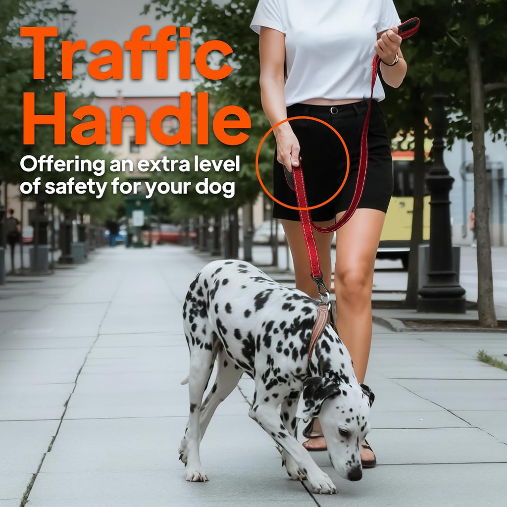 Twoear 6FT 1IN Heavy Duty Dog Leash for Large Dogs with 2 Padded Handles