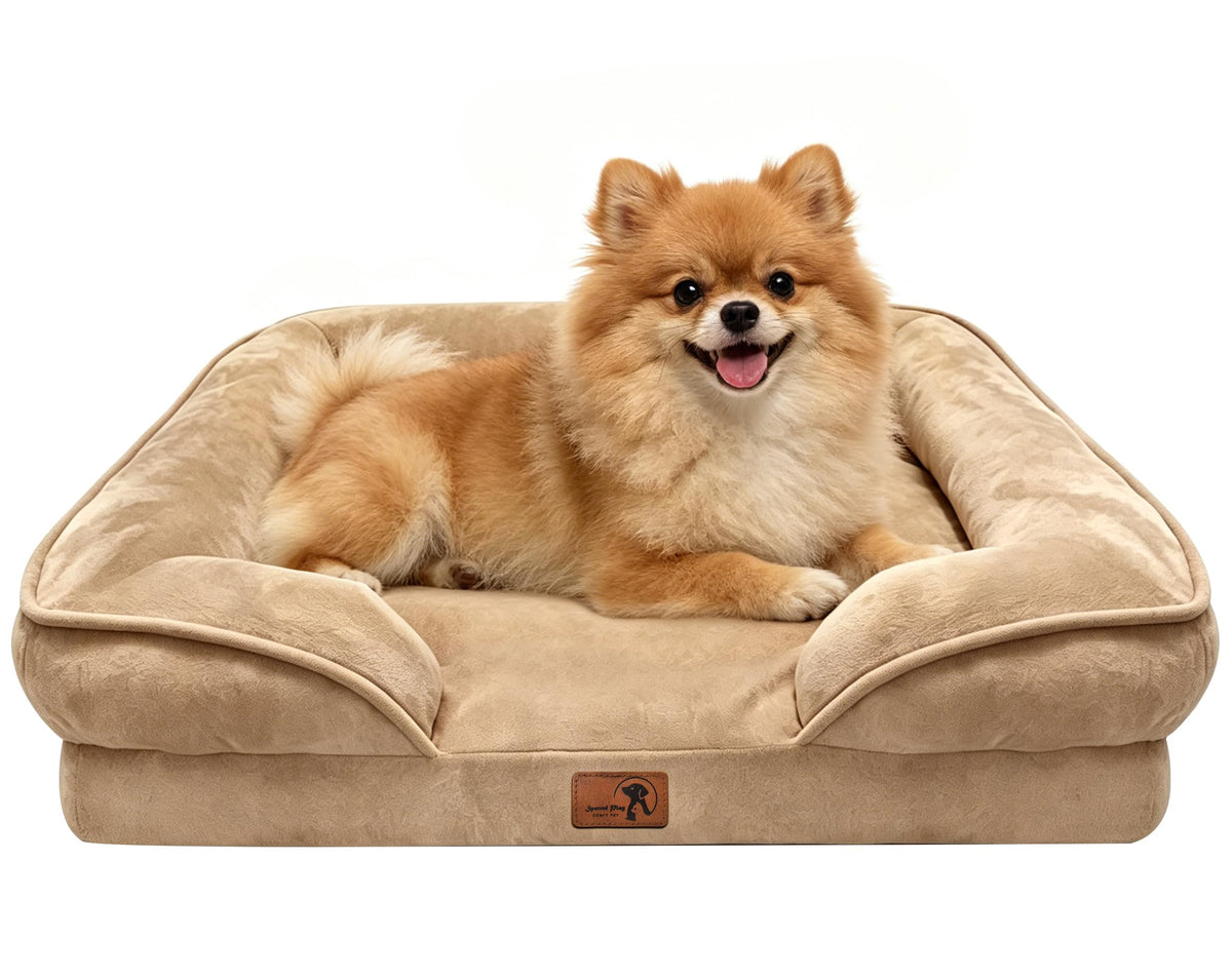 Spotted Play Orthopedic Dog Bed with Sides - Dog Sofa Beds for Medium Dogs, Supportive Foam Pet Couch Bed with Washable Removable Cover, Waterproof Lining and Non-Slip Bottom, Grey - M