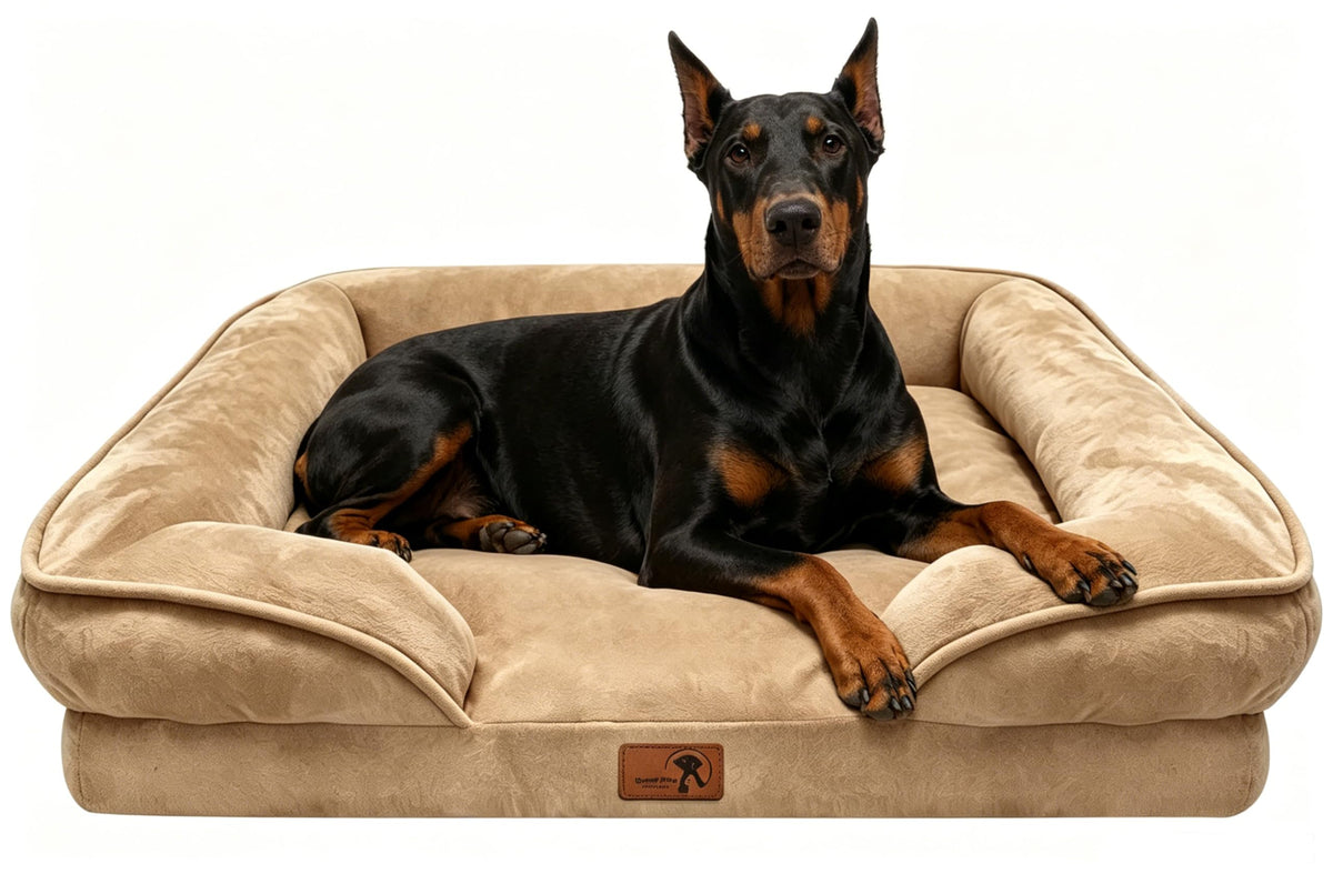 Spotted Play Orthopedic Dog Bed with Sides - Dog Sofa Beds for Medium Dogs, Supportive Foam Pet Couch Bed with Washable Removable Cover, Waterproof Lining and Non-Slip Bottom, Grey - M