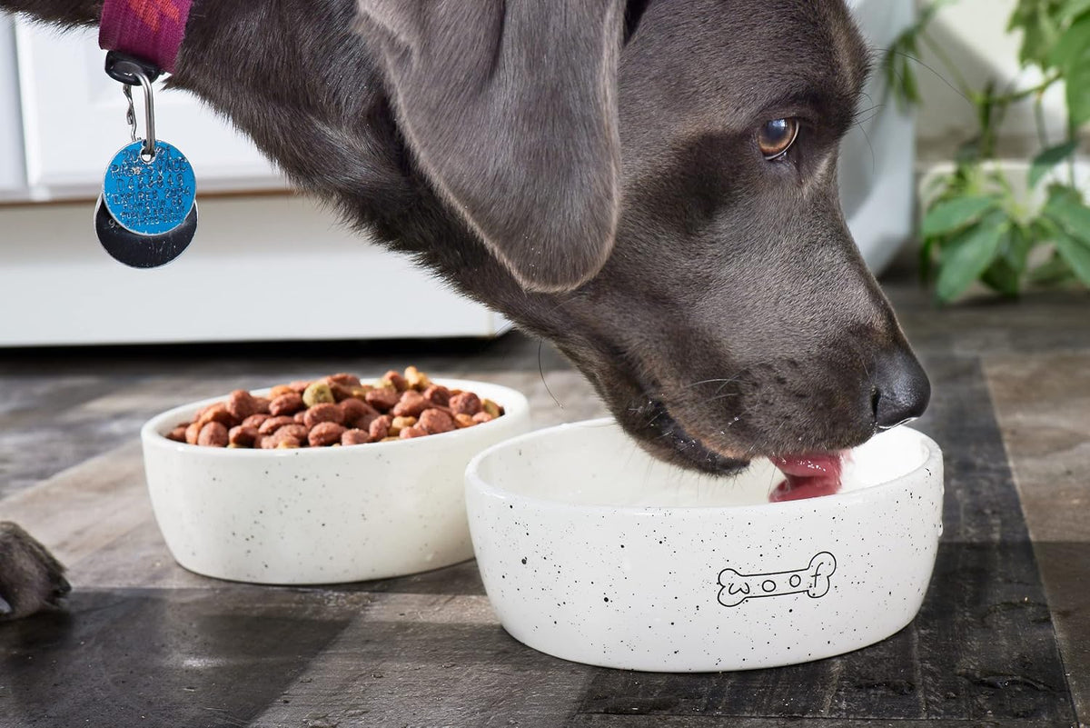 Pearhead Ceramic Dog Bowl - Woof Speckled Pet Food & Water Dish, 20 oz