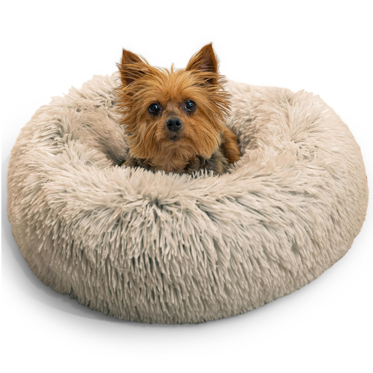Best Friends by Sheri Original Calming Donut Dog Bed, Oyster, Small, 23"