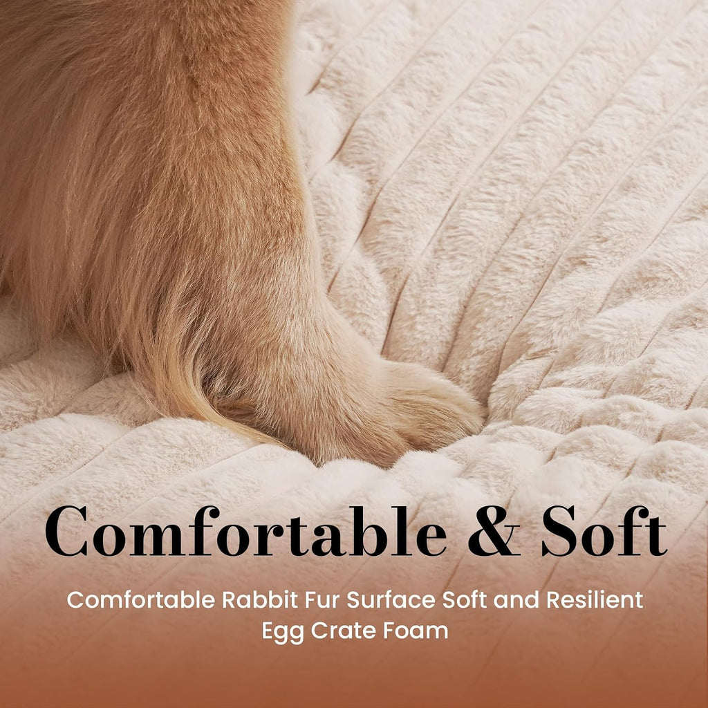 Dog Beds for Large Sized Dog, Orthopedic Foam with Waterproof Lining