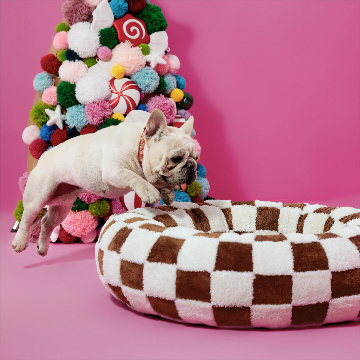 LE SURE Shown on TV Jacquard Donut Dog Beds Large Sized Dog,Green 36x36x8in