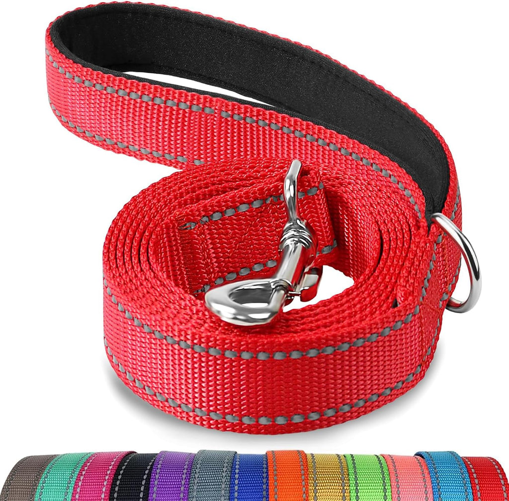 Joytale Reflective Dog Leash for Medium & Large Dogs, 6 FT x 1", Red