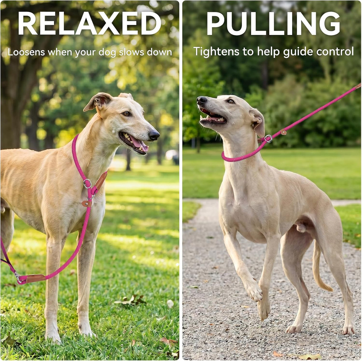 Joytale Slip Lead Dog Leash with Dual Handle, No Pull, Hot Pink, 6FT x 3/8"