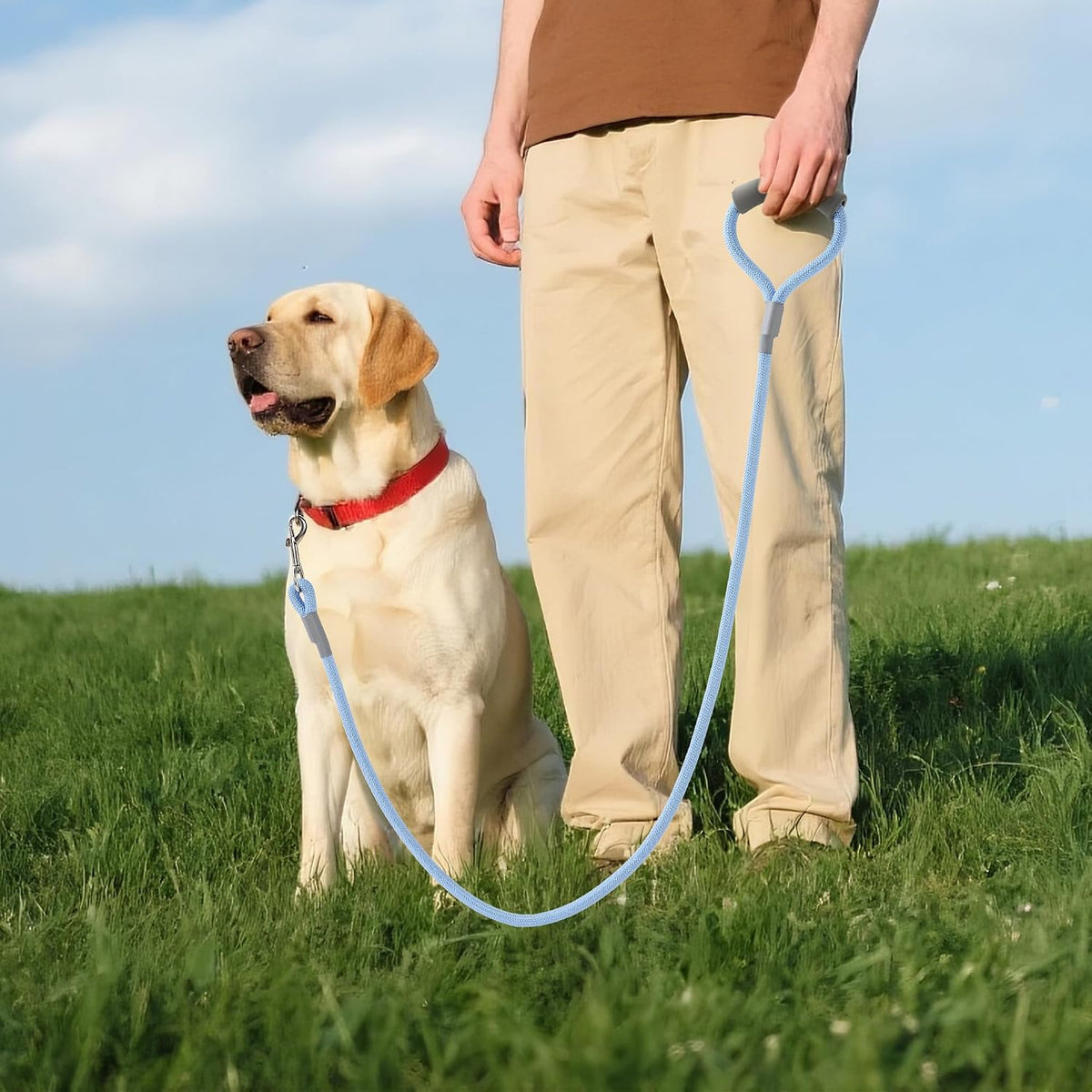 Mile High Life Dog Leash, 6FT x 1/2IN Blue, with Padded Handle