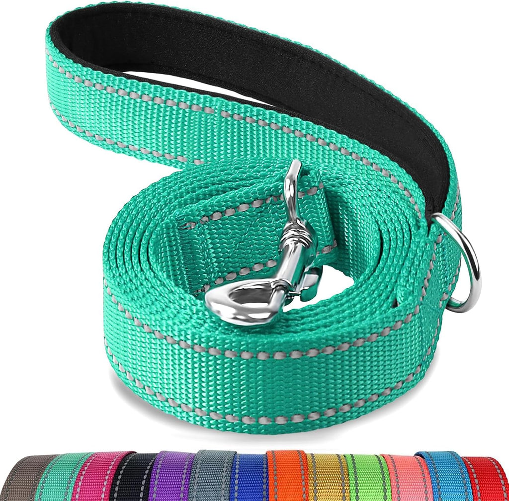 Joytale Reflective Dog Leash for Medium & Large Dogs, 6 FT x 1", Turquoise