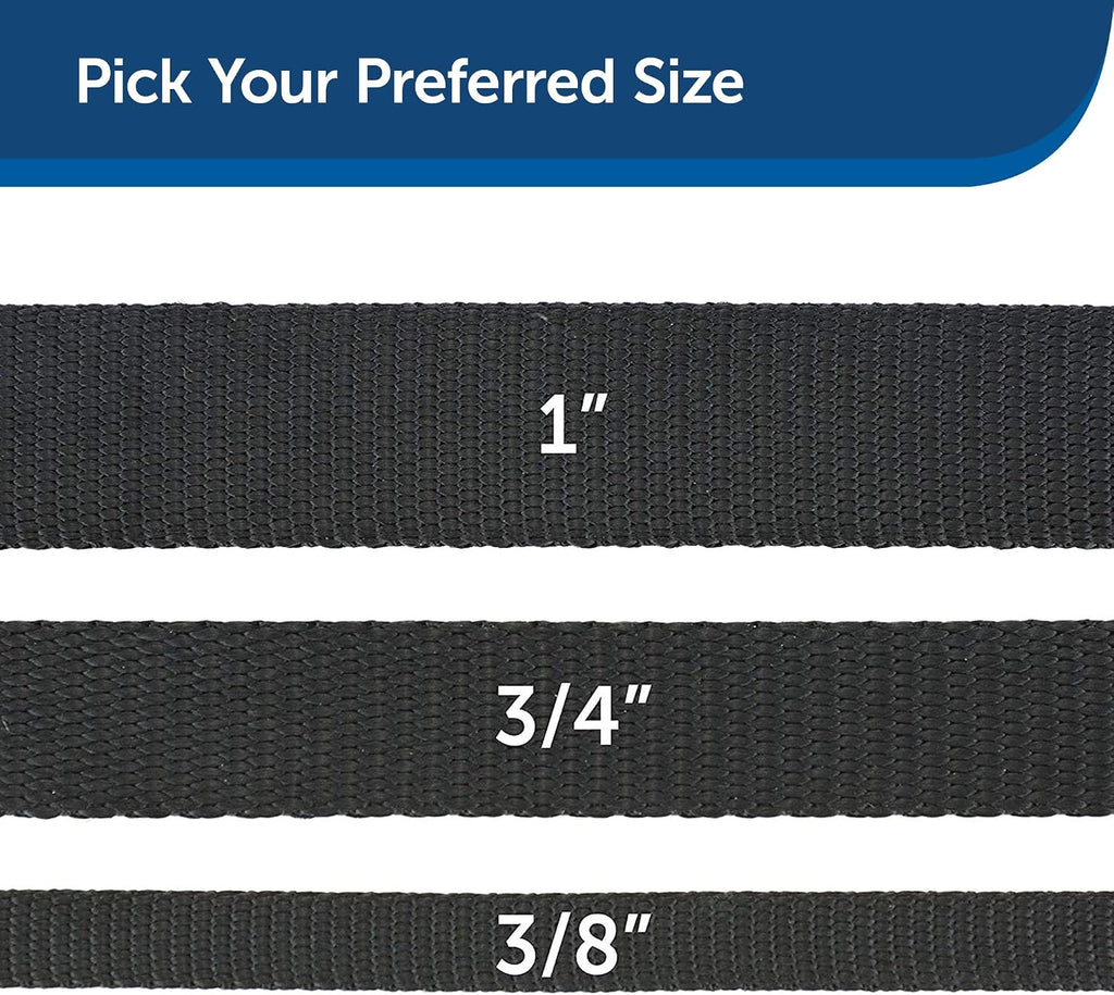 PetSafe Nylon Dog Leash - Strong, Durable, Traditional Style Leash with Easy to Use Bolt Snap - 1 in. x 6 ft., Black
