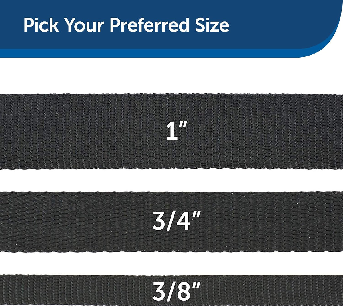 PetSafe Nylon Dog Leash - Strong, Durable, Traditional Style Leash with Easy to Use Bolt Snap - 1 in. x 6 ft., Black