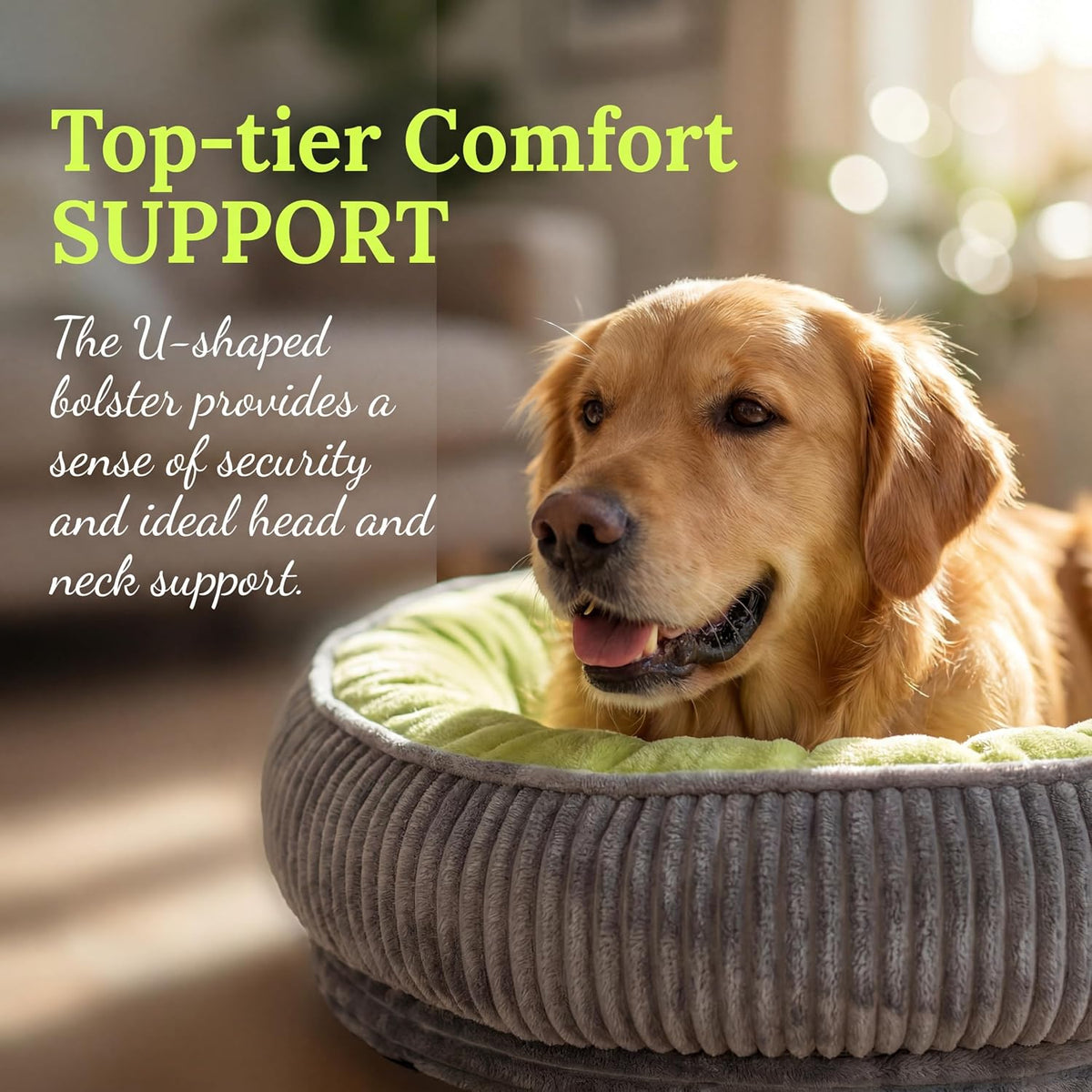 Calming Dog Bed for Small Dogs, Velvet Corduroy Washable Donut Pet Bed