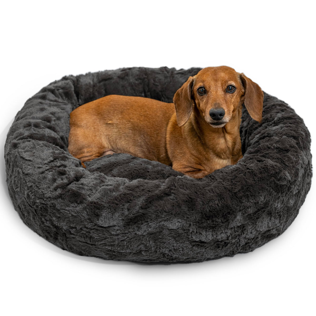 Best Friends by Sheri Original Calming Donut Dog Bed, Oyster, Small, 23"