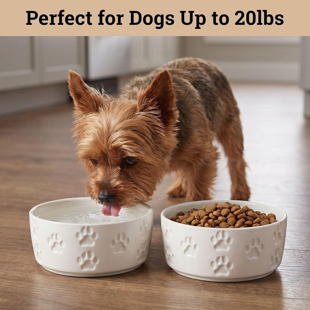 Ceramic Dog Bowl Set of 2 with Anti-Skid Base, 5.5"W x 2"H, 2 Cup Capacity