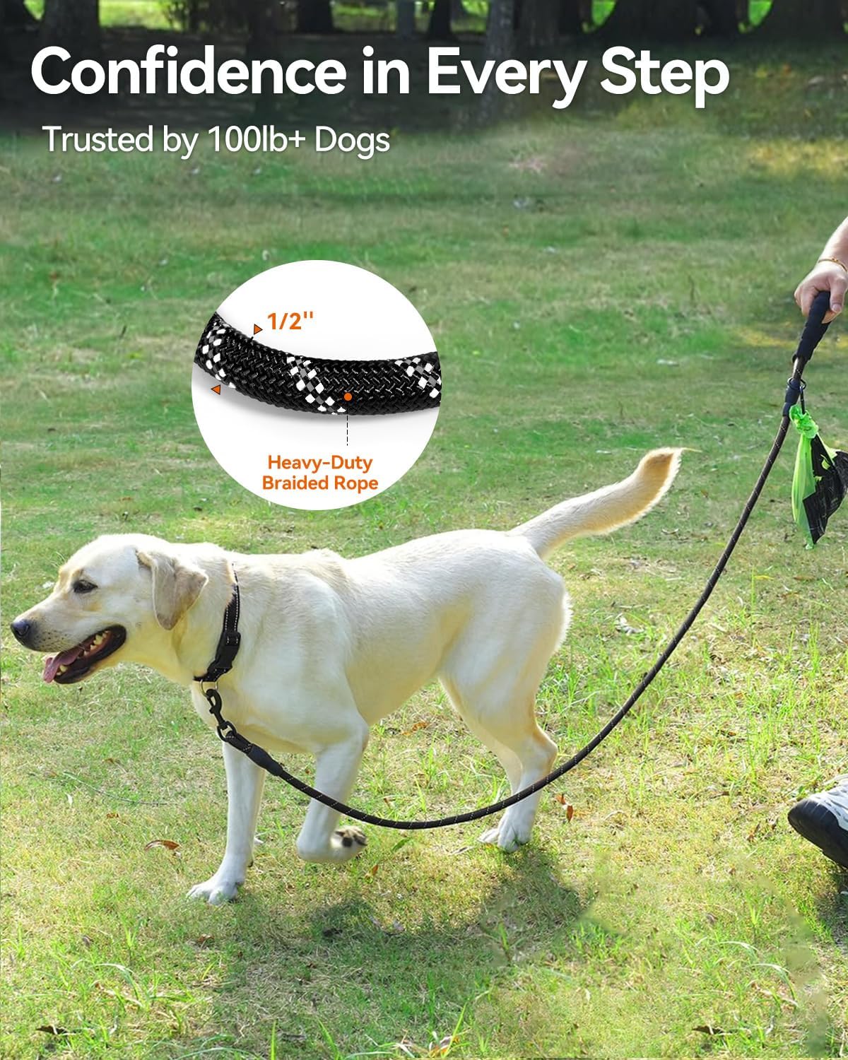 Joytale Rope Dog Leash for Medium Large Dogs, Padded Handle, 6FT, Black
