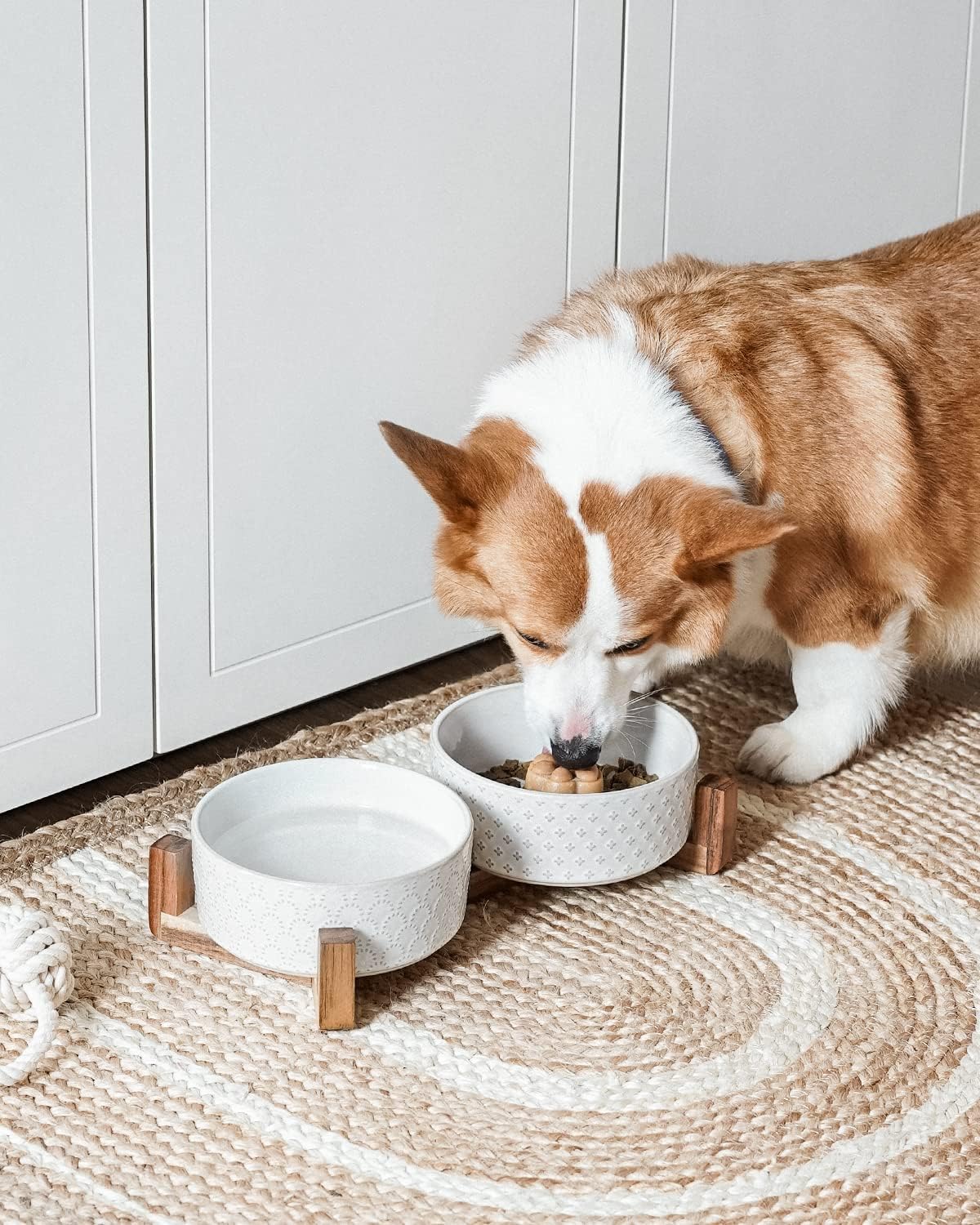 LE TAUCI Dog Bowl Set with Acacia Wood Stand - 1.8-Cup Ceramic Puppy Bowls for Small Dogs, Dual Food and Water Bowls with Weighted Non-Slip Base