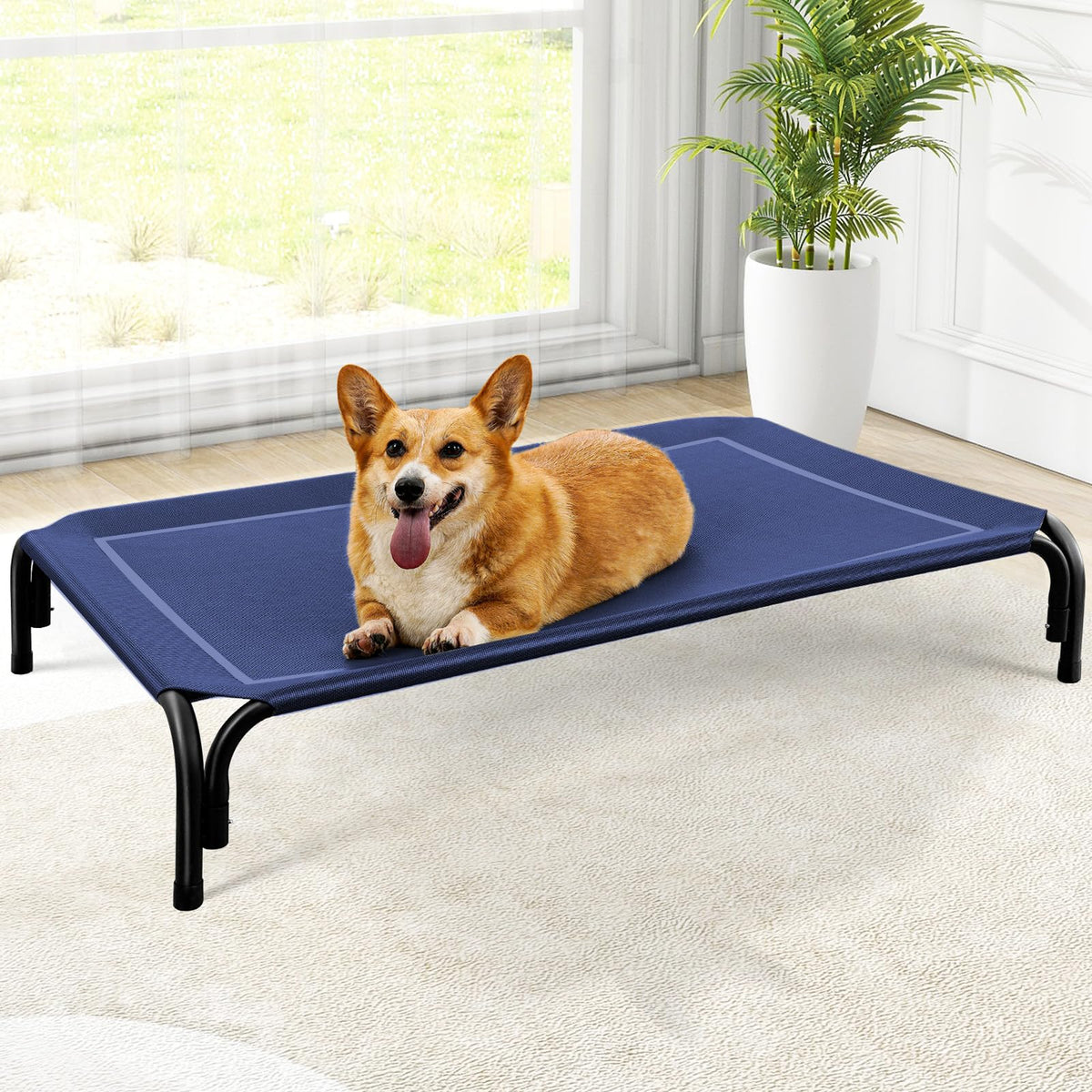 Czpalo Outdoor Elevated Dog Bed for Large Sized Dogs, No-Tool Assembly.