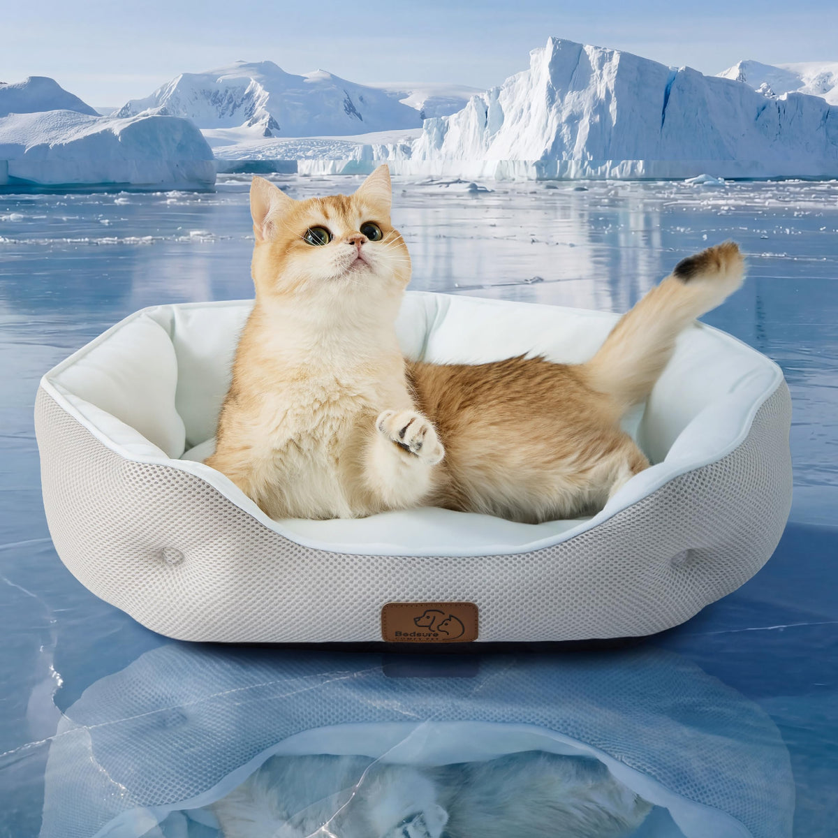 Bedsure Small Dog Bed Washable,Round Cat Beds for Indoor Cats,20in Ivory