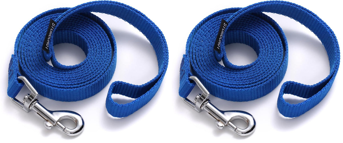 6 FT Puppy Leashes, Strong Traditional Style Leash with Easy to Use Collar Hook,Dog Lead Great for Small and Medium and Large Dog (Mint Blue, 5/8 in x 6 ft)