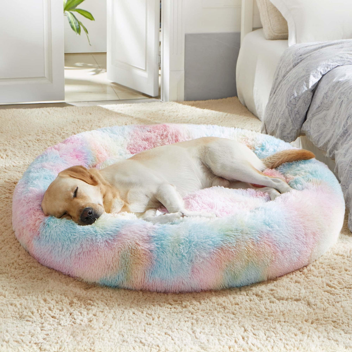WESTERN HOME WH Calming Soft Round Dog &Cat Bed Small Dog Bed Washable,20"