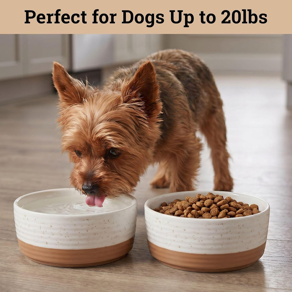 Ceramic Dog Bowl Set of 2 with Anti-Skid Base, 5.5"W x 2"H, 2 Cup Capacity