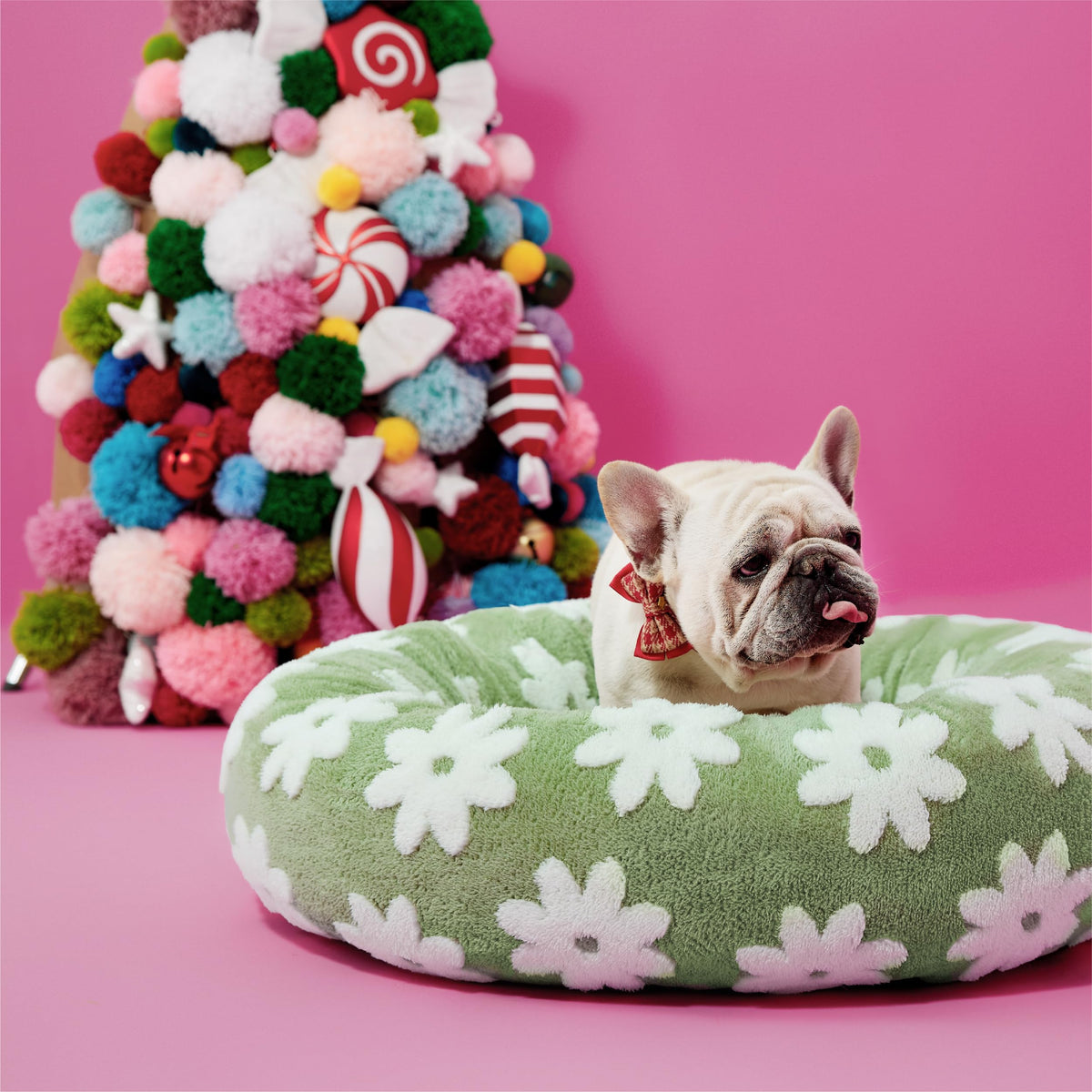 LE SURE Shown on TV Jacquard Donut Dog Beds Large Sized Dog,Green 36x36x8in
