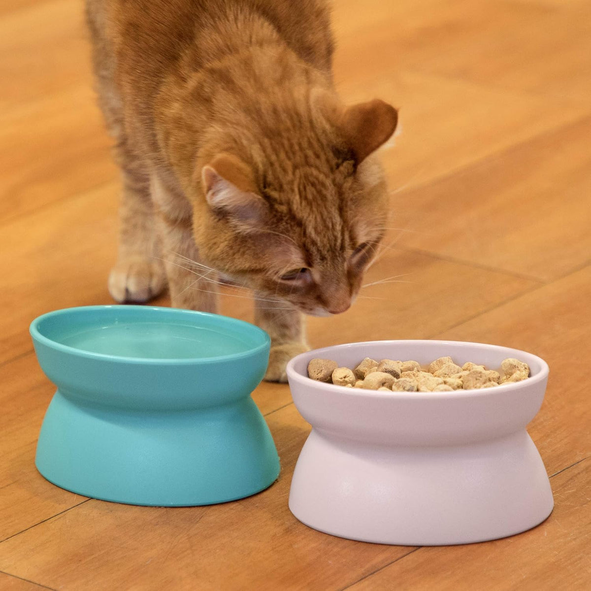 Kitty City Elevated Cat Bowls (Set of 2), Whisker-Friendly Raised Cat Food & Water Dishes, Modern Pedestal Design, Dishwasher Safe, 6.5 oz Each – Teal & Light Pink