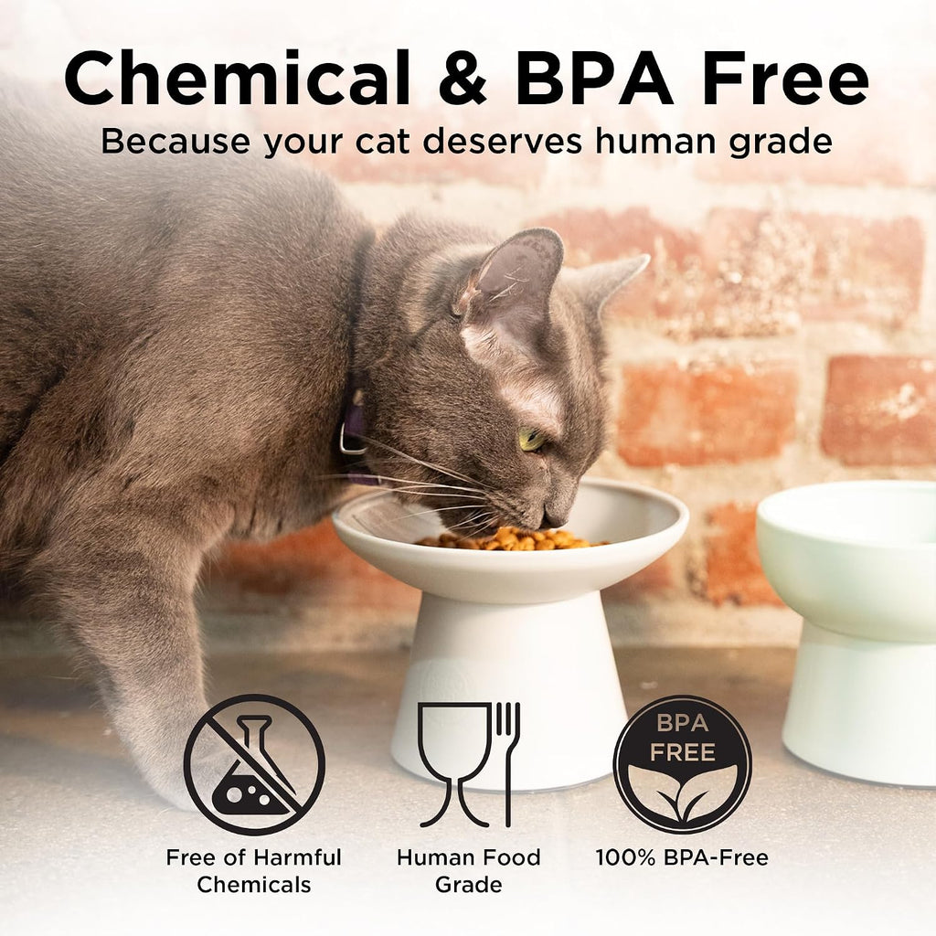 Necoichi BPA-Free Extra-Wide Elevated Cat Food Bowls, 2-Pack (Classic)